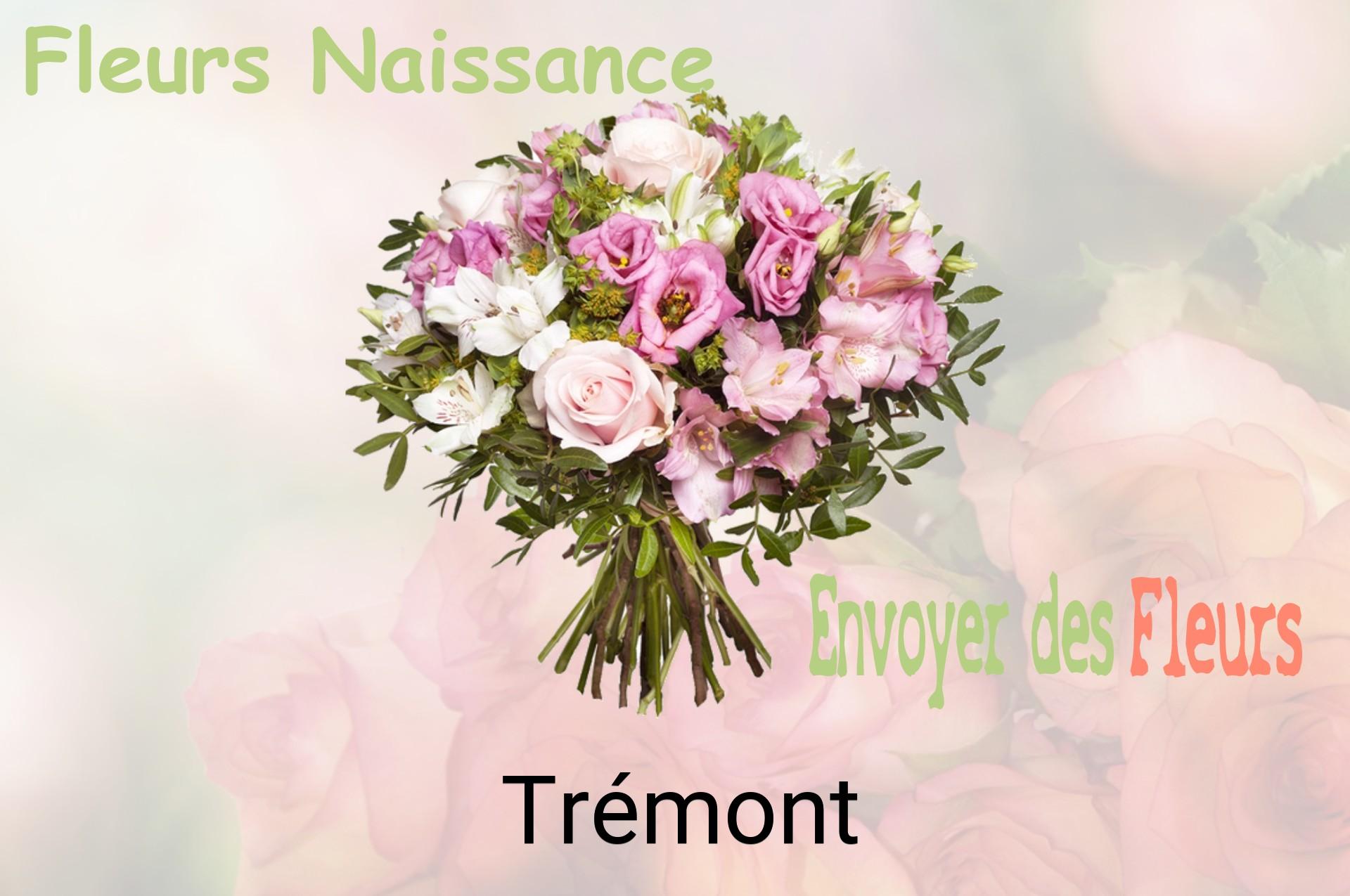 Bouquet de fleurs de naissance livré à Trémont