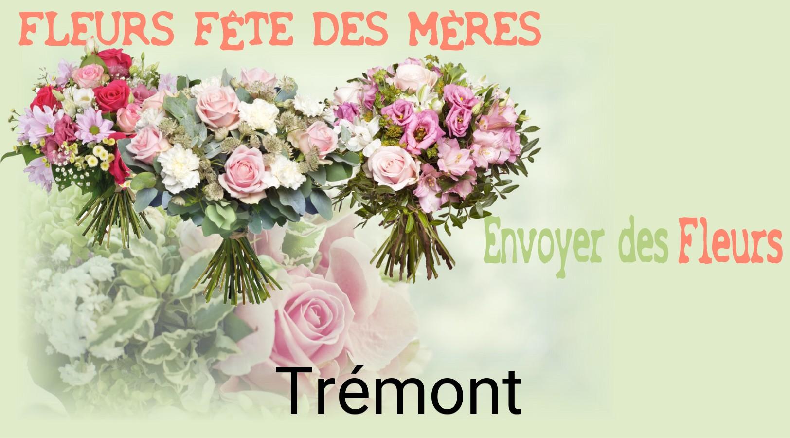 Bouquet de Fête des Mères livré à Trémont